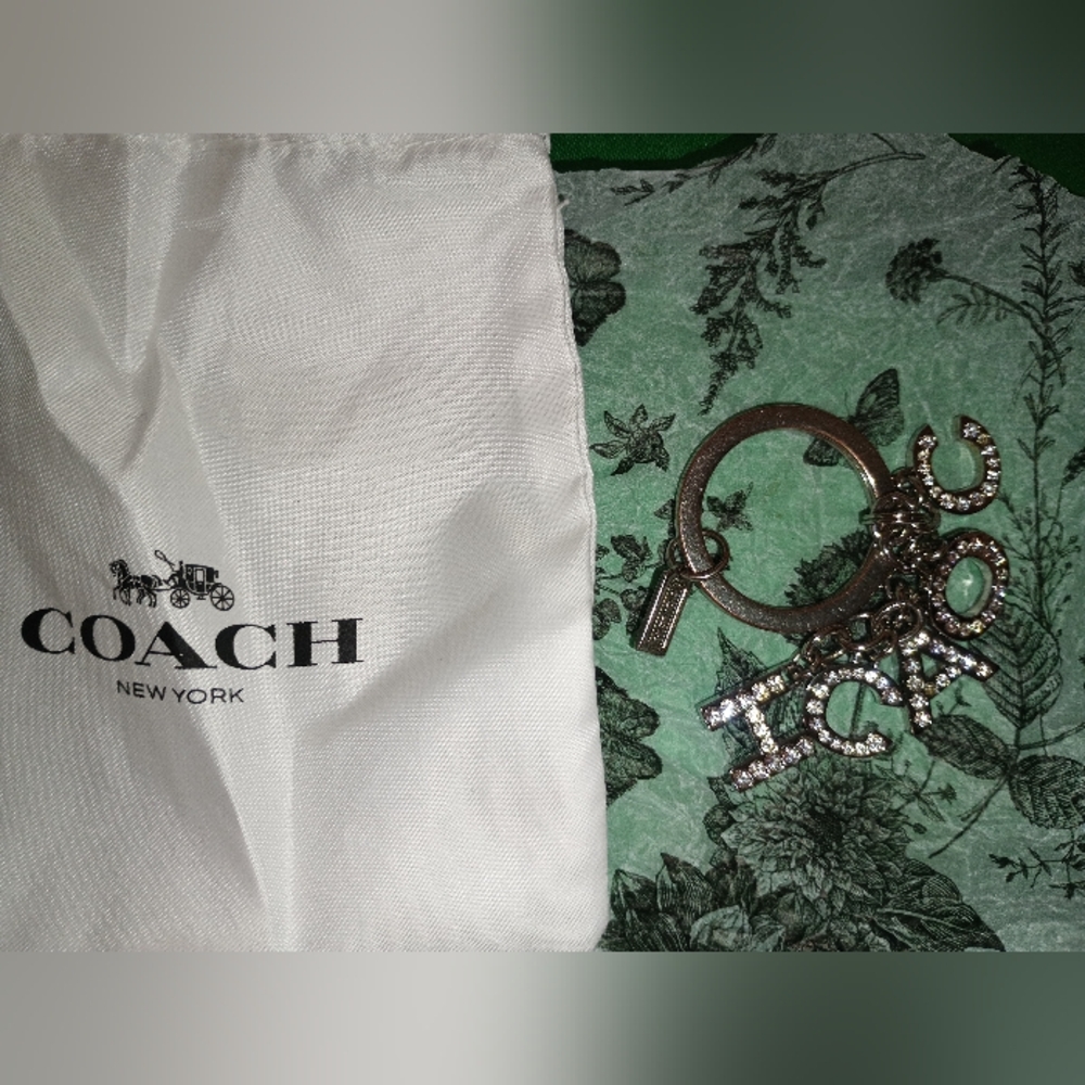 Coach Rare Crystal Pave Silver Rhinestone Keychain - Picture 16 of 16